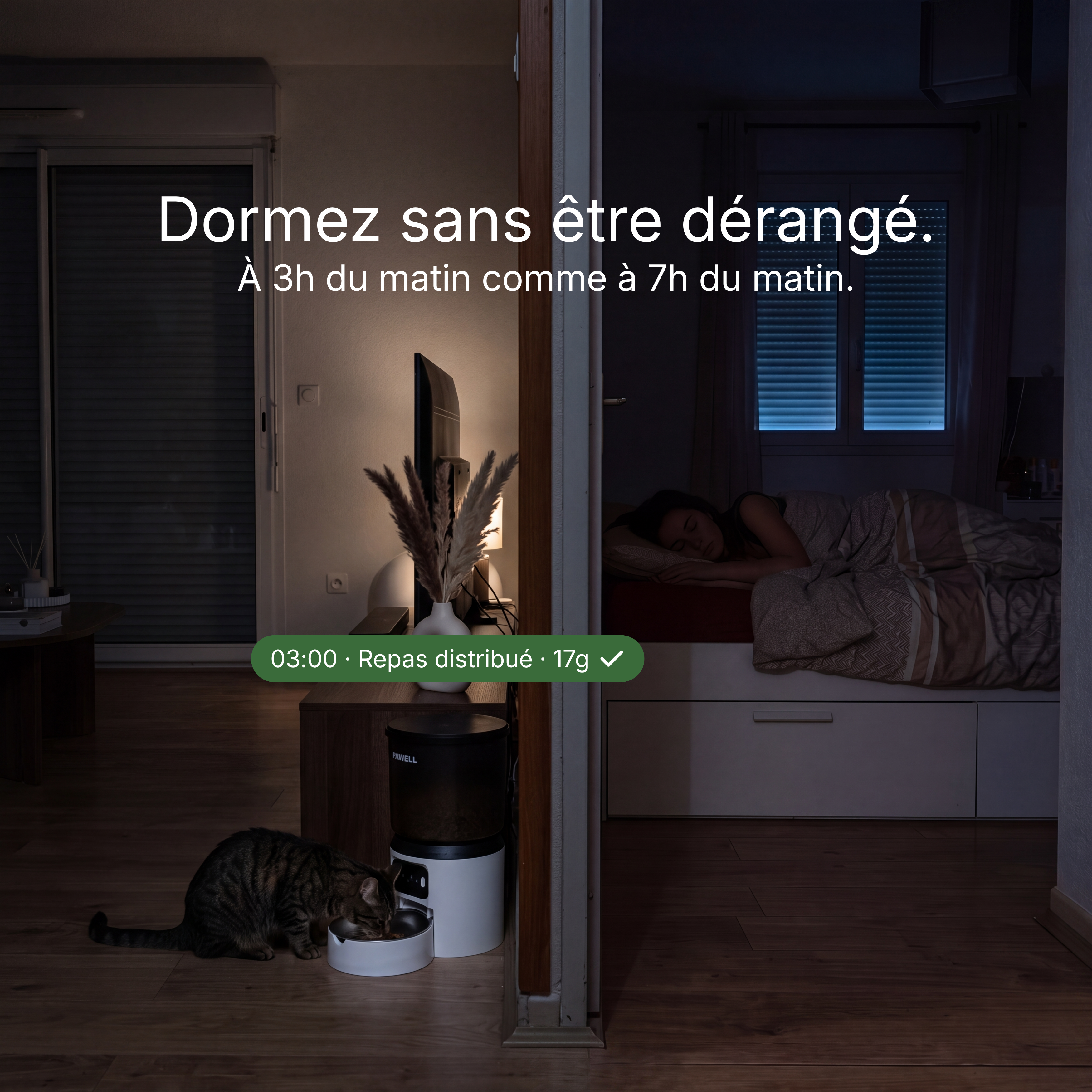 Distributeur automatique Pawell