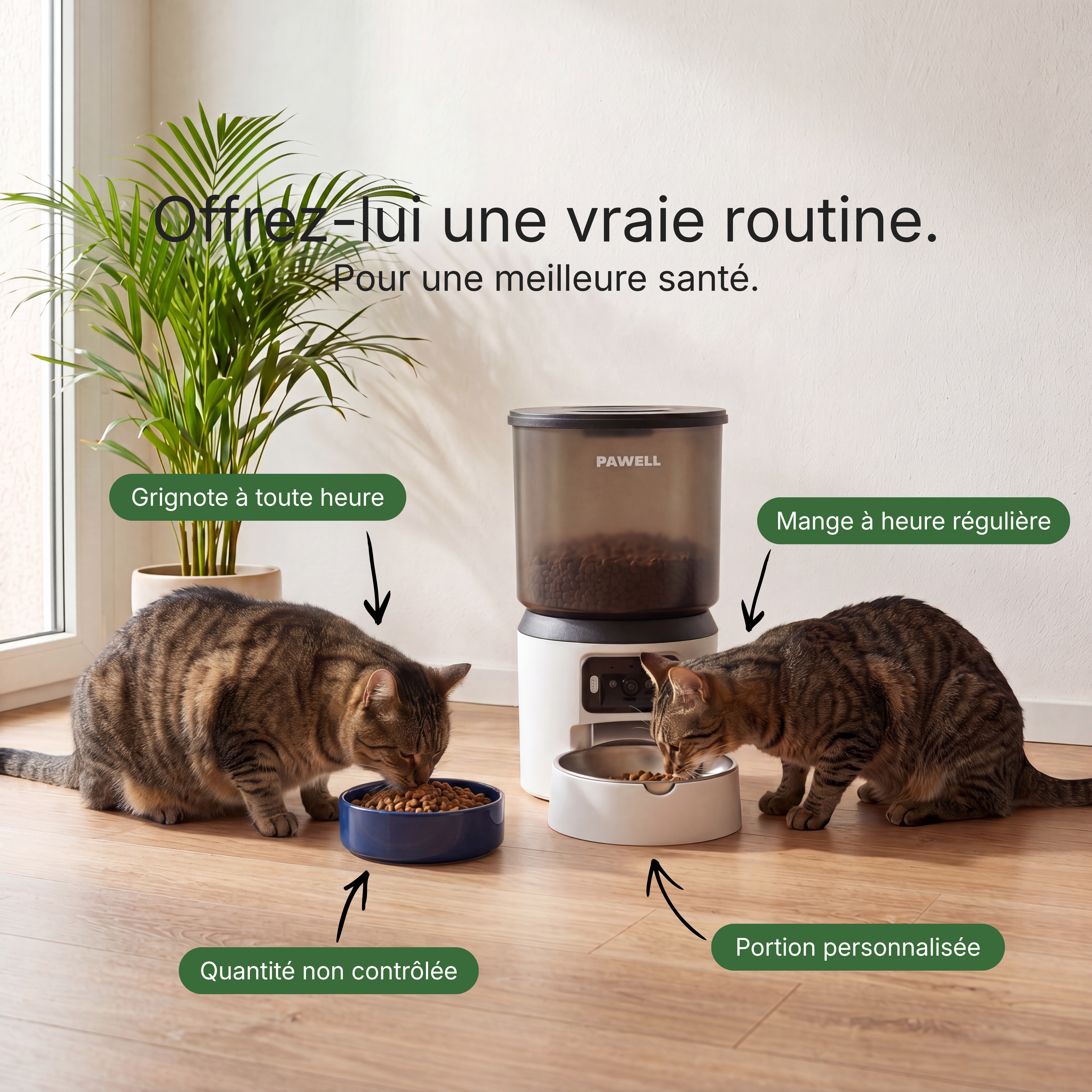 Distributeur automatique Pawell